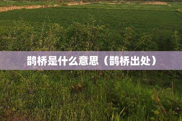 鹊桥是什么意思（鹊桥出处）