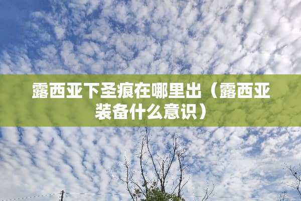 露西亚下圣痕在哪里出（露西亚装备什么意识）