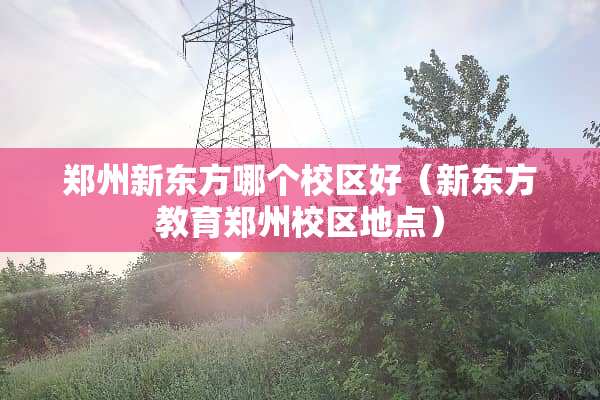 郑州新东方哪个校区好（新东方教育郑州校区地点）
