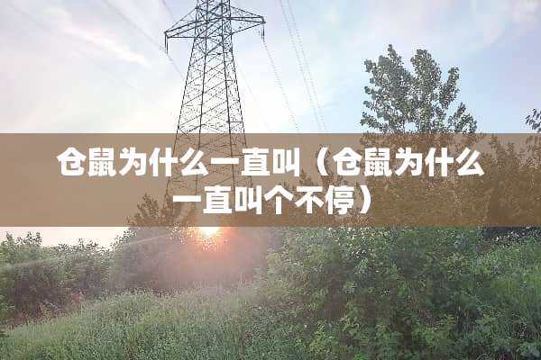 仓鼠为什么一直叫（仓鼠为什么一直叫个不停）