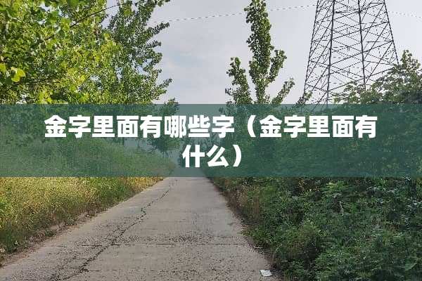 金字里面有哪些字（金字里面有什么）