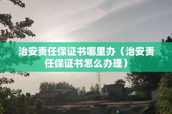 治安责任保证书哪里办（治安责任保证书怎么办理）
