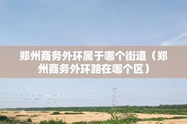 郑州商务外环属于哪个街道（郑州商务外环路在哪个区）
