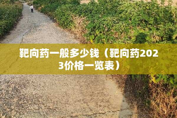 靶向药一般多少钱（靶向药2023价格一览表）