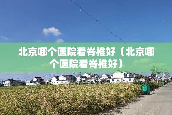 北京哪个医院看脊椎好（北京哪个医院看脊椎好）