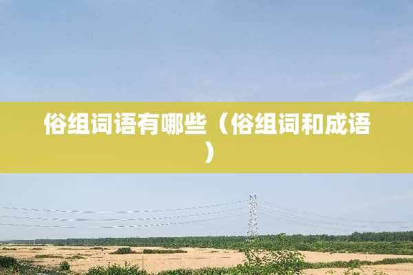 俗组词语有哪些（俗组词和成语）
