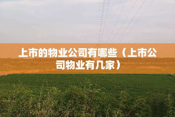 上市的物业公司有哪些（上市公司物业有几家）