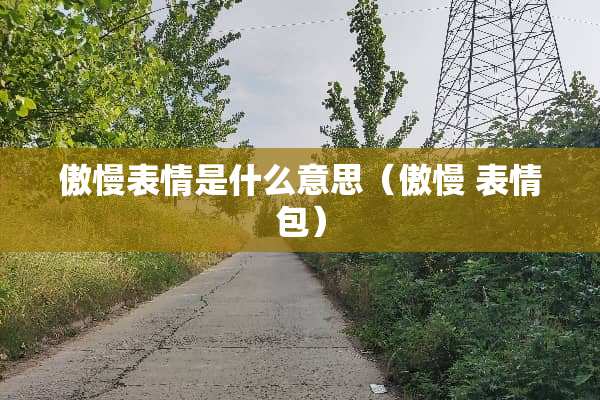 傲慢表情是什么意思（傲慢 表情包）