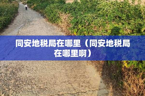 同安地税局在哪里（同安地税局在哪里啊）