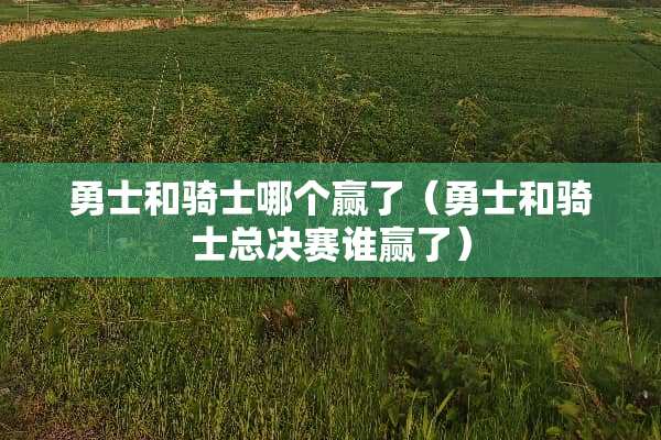 勇士和骑士哪个赢了（勇士和骑士总决赛谁赢了）