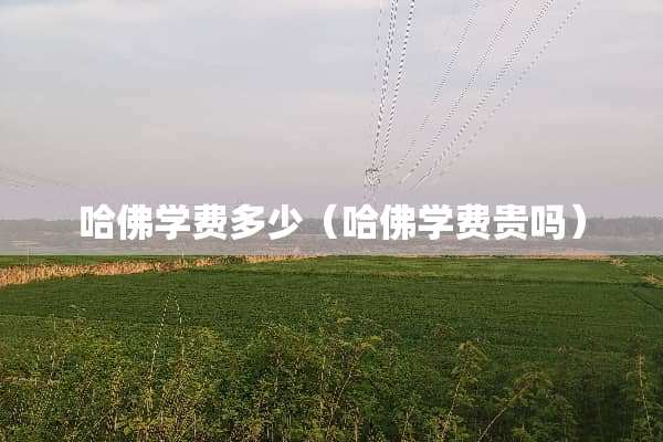 哈佛学费多少（哈佛学费贵吗）