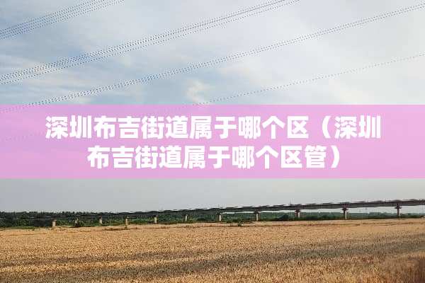 深圳布吉街道属于哪个区（深圳布吉街道属于哪个区管）
