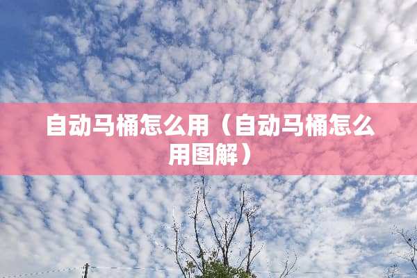 自动马桶怎么用（自动马桶怎么用图解）