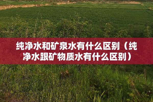纯净水和矿泉水有什么区别（纯净水跟矿物质水有什么区别）