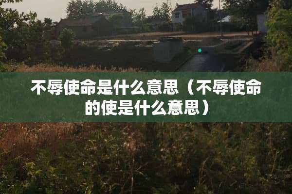 不辱使命是什么意思（不辱使命的使是什么意思）
