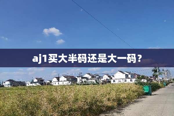 aj1买大半码还是大**？