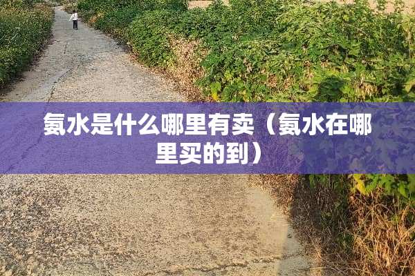 氨水是什么哪里有卖（氨水在哪里买的到）