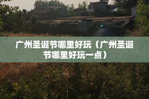 广州圣诞节哪里好玩（广州圣诞节哪里好玩一点）