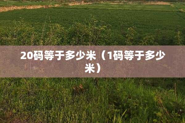 20码等于多少米（1码等于多少米）
