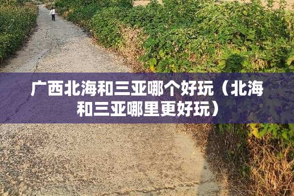 广西北海和三亚哪个好玩（北海和三亚哪里更好玩）