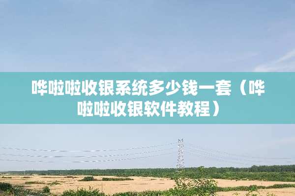 哗啦啦收银系统多少钱一套（哗啦啦收银软件教程）