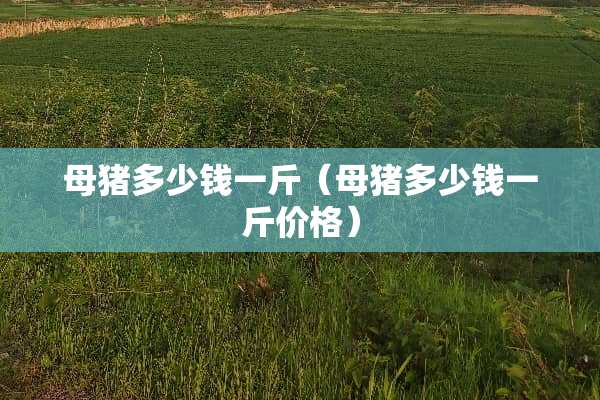 母猪多少钱一斤（母猪多少钱一斤价格）