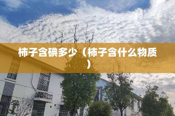 柿子含碘多少（柿子含什么物质）