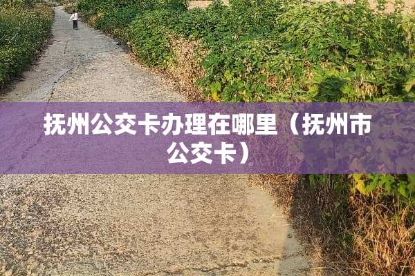 抚州公交卡办理在哪里（抚州市公交卡）