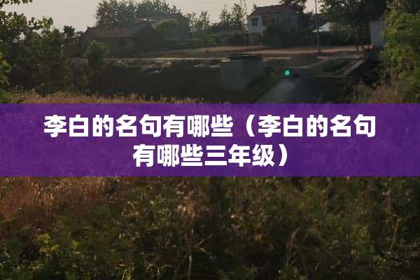 李白的名句有哪些（李白的名句有哪些三年级）