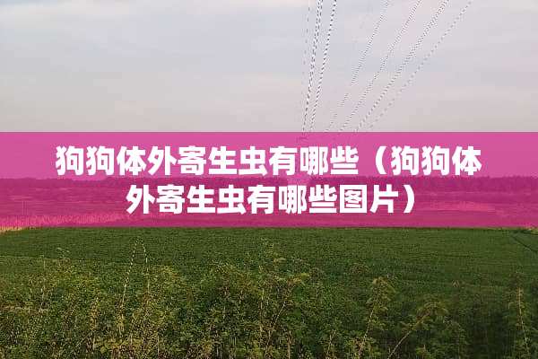 狗狗体外寄生虫有哪些（狗狗体外寄生虫有哪些图片）