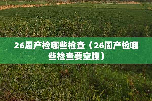 26周产检哪些检查（26周产检哪些检查要空腹）
