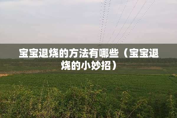 宝宝退烧的方法有哪些（宝宝退烧的小妙招）