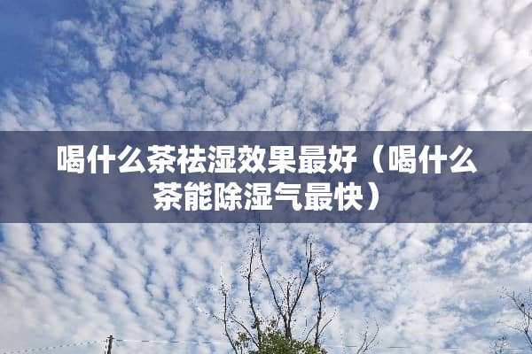 喝什么茶祛湿效果最好（喝什么茶能除湿气最快）