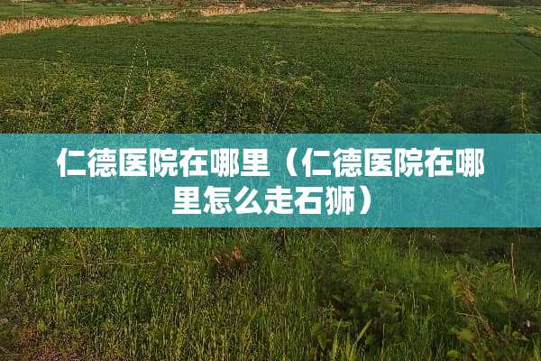 仁德医院在哪里（仁德医院在哪里怎么走石狮）
