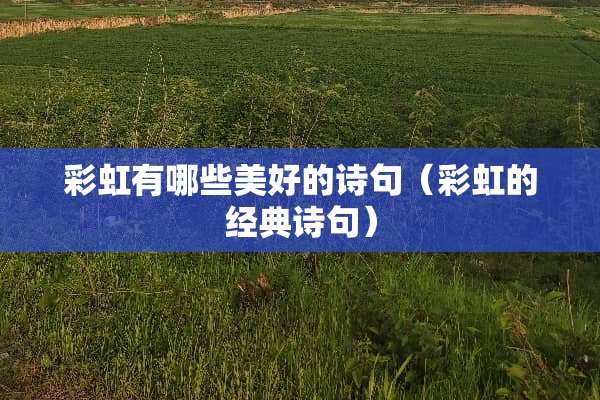 彩虹有哪些美好的诗句（彩虹的经典诗句）