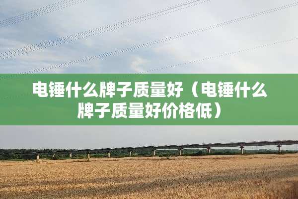 电锤什么牌子质量好（电锤什么牌子质量好价格低）