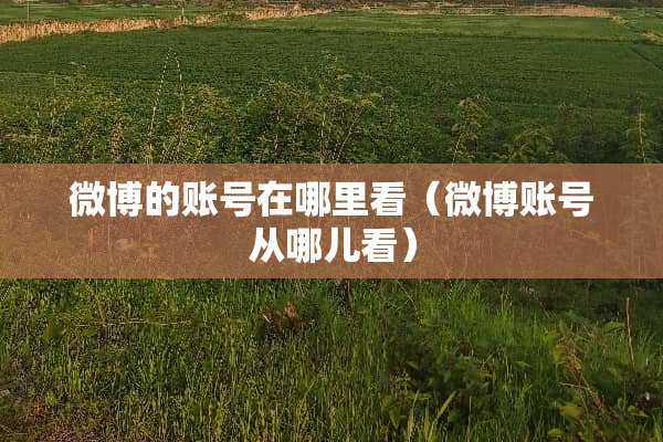 微博的账号在哪里看（微博账号从哪儿看）
