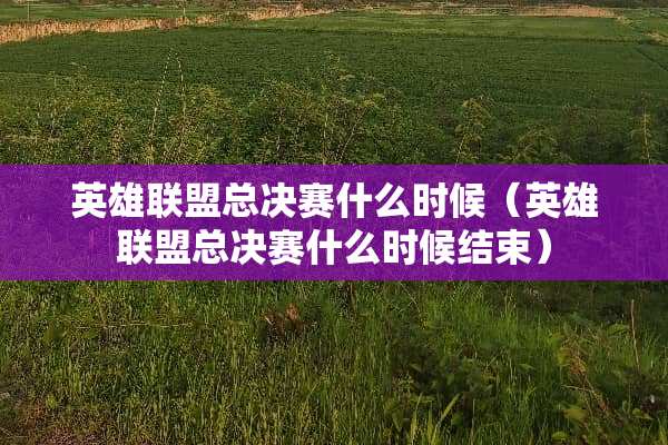 英雄联盟总决赛什么时候（英雄联盟总决赛什么时候结束）