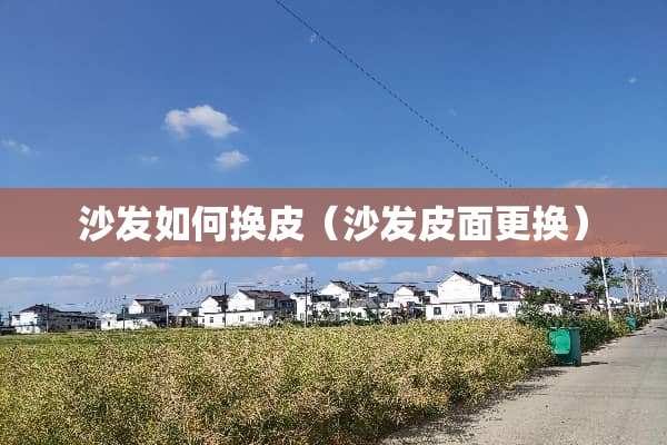 沙发如何换皮（沙发皮面更换）