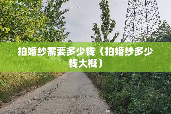 拍婚纱需要多少钱（拍婚纱多少钱大概）