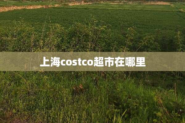 上海costco超市在哪里