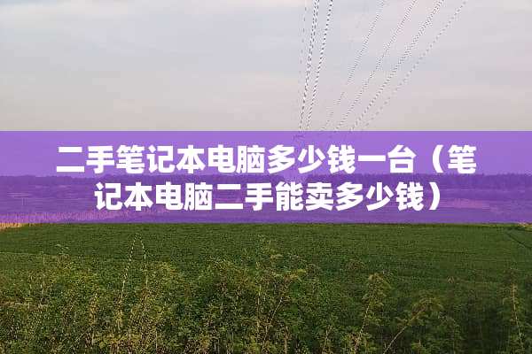 二手笔记本电脑多少钱一台（笔记本电脑二手能卖多少钱）