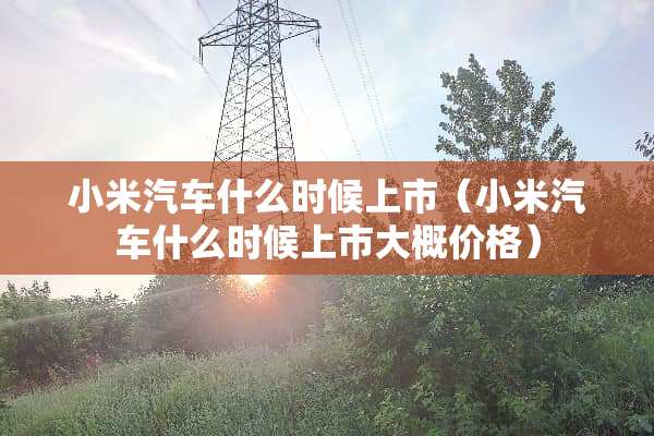 小米汽车什么时候上市（小米汽车什么时候上市大概价格）