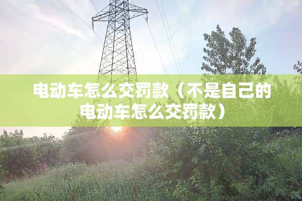 电动车怎么交罚款（不是自己的电动车怎么交罚款）