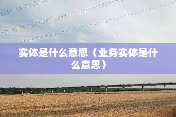 实体是什么意思（业务实体是什么意思）