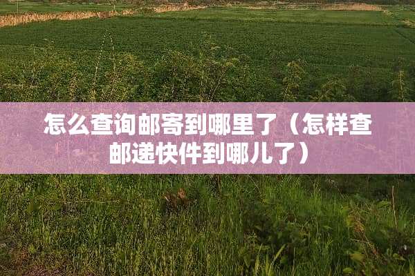 怎么查询邮寄到哪里了（怎样查邮递快件到哪儿了）