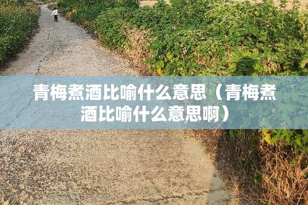 青梅煮酒比喻什么意思（青梅煮酒比喻什么意思啊）