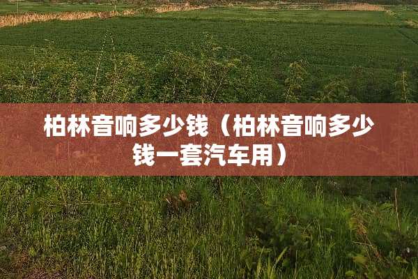 柏林音响多少钱（柏林音响多少钱一套汽车用）
