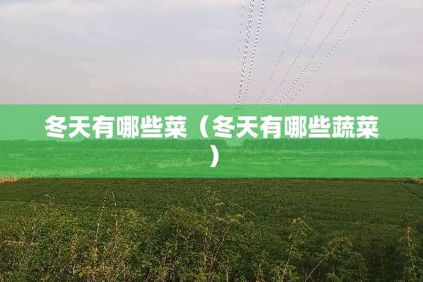冬天有哪些菜（冬天有哪些蔬菜）