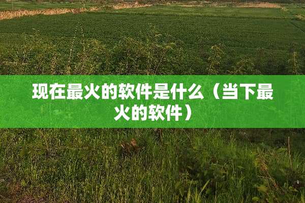 现在最火的软件是什么（当下最火的软件）